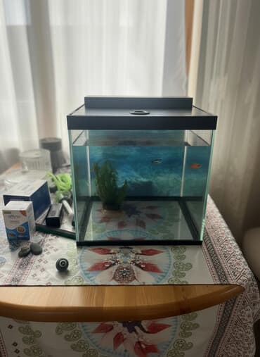 cuce yem qabi: Akvaryum dəsti 1 akvaryum tezedi qalan herwey iwlenmiwdi ekseryeti az — 2
