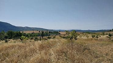 ev satdiq: 200 sot, Tikinti, Mülkiyyətçi, Kupça (Çıxarış) — 2