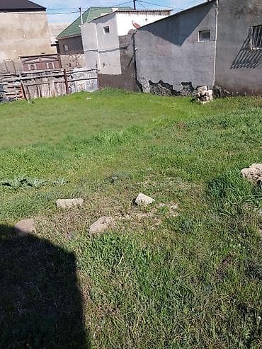 torpag satilir: Tikinti — 3