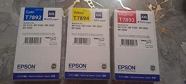 çap aparati: Məhsul: Epson orijinal mürəkkəb kartricləri – T7892 (Cyan), T7893 — 3