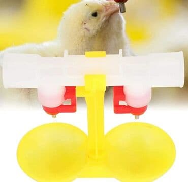 cuce dami: Yem qabı, Su üçün, Quşlar üçün, Ünvandan götürmə, Rayonlara çatdırılma, Ödənişli çatdırılma — 8