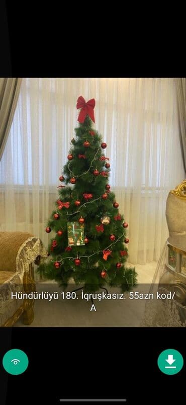 xurma ağacı: Yolkalar şaxda baba sekillerde qiymət məlumat qeyd olunub unvan Gence — 27