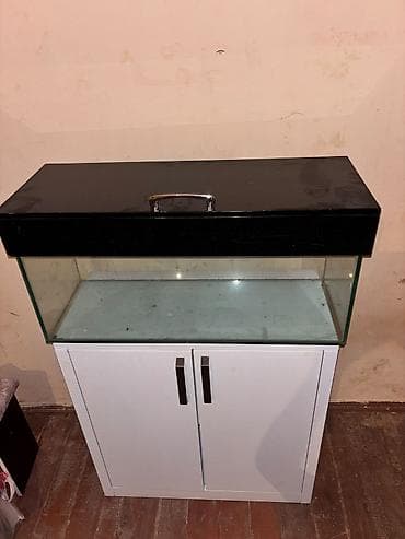 akvariyum: Dördbucaq akvarium, Boş, 80 l — 3