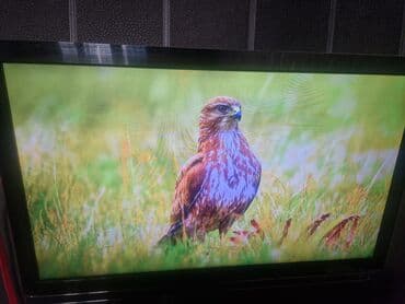 скупка нерабочих телевизоров бишкек: Beko 32 televizor satilir. Ekran yaxşı vəziyyətdədir, tam işlək. HDMİ — 10