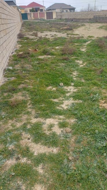 6 ci mikrorayon 1 kv luq verirəm: 3 sot, Tikinti, Mülkiyyətçi, Kupça (Çıxarış) — 1