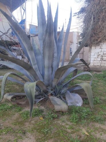 Razilawma yolu ile — 2