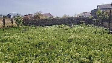 torpaq sumlayan: 5 sot, Tikinti, Mülkiyyətçi, Kupça (Çıxarış) — 3