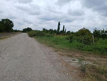samaxida heyet evleri: 24 sot, Kənd təsərrüfatı, Mülkiyyətçi, Kupça (Çıxarış), Bələdiyyə — 2