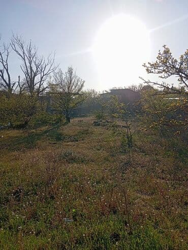 купить землю в азербайджане: 30 соток, Для сельского хозяйства, Риэлторам не беспокоить — 3