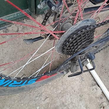 velosibet type 1: STRIM 24 lik strim her sey teze skorus islek tormuz islek oturacaq — 9