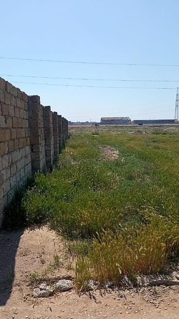 6 sot, Kupça (Çıxarış)