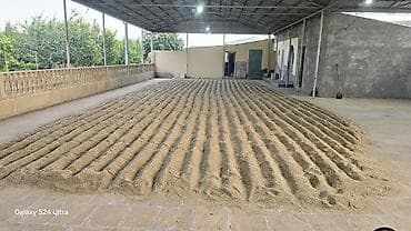kala bitkisi: Ryegrass toxumu sud otu.satilir — 1