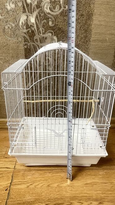 heyvan bazarı tap az: Qefesler 1 ededi 8 azn — 6