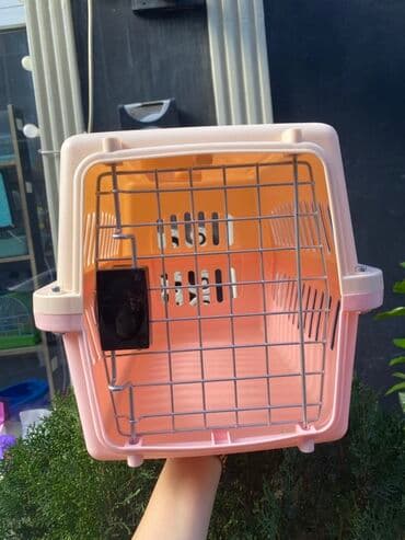 pişik əşyaları: Heyvan daşıma çantaları/konteynerləri - Material: möhkəm sərt plastik — 1