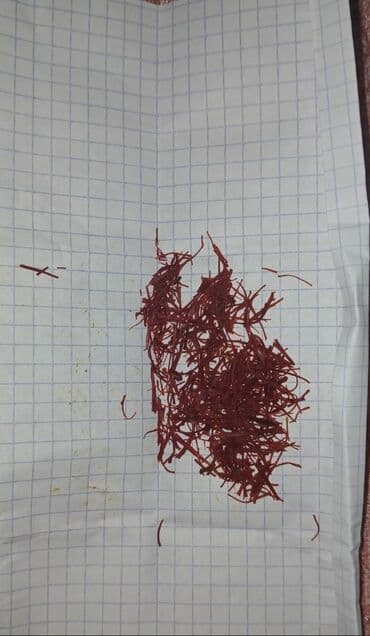 krivetka qiymeti: Zəfəran yerli bilgəh sortu nardaranda yetişir gördüyünüz kimi — 5