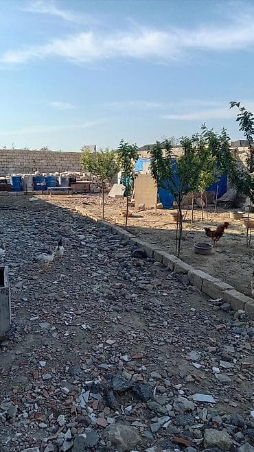 qurd deresi torpaq: 2 sot, Mülkiyyətçi — 2