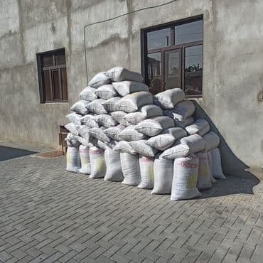 Хозтовары: Toz halinda mal peyini - kisesi 2,80 q. ( boyuk kepek kisesinde) — 2