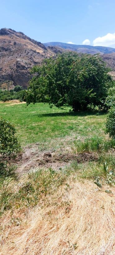 аренда и продажа недвижимости: Əkin sahəsi kənd təsərrüfatı fəaliyyəti üçün geniş imkanlar təklif — 8