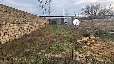 kurdexanida torpaq satilir: Tikinti — 6