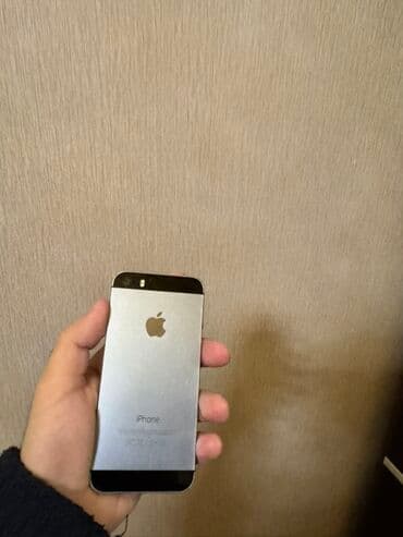 купить айфон 6: IPhone 5s, 16 ГБ, Black Titanium, Отпечаток пальца — 2
