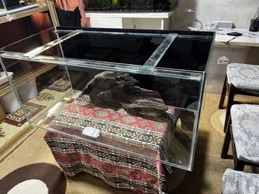 Dördbucaq akvarium, Boş, 162 l, Ödənişli çatdırılma lalafo.az -da Dördbucaq akvarium, Boş, 162 l, Ödənişli çatdırılma