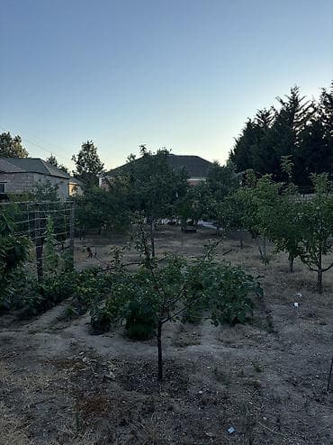 torpaq bakida: 5 sot, Tikinti, Mülkiyyətçi, Kupça (Çıxarış) — 8