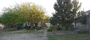 satlig evler kurdexani: 5 otaqlı, 110 kv. m, Orta təmir — 8