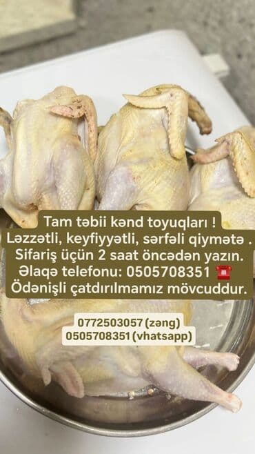 qril toyuq sifarisi: Təbii kənd toyuqları təklif olunur. Bu toyuqlar ləzzətli və — 1