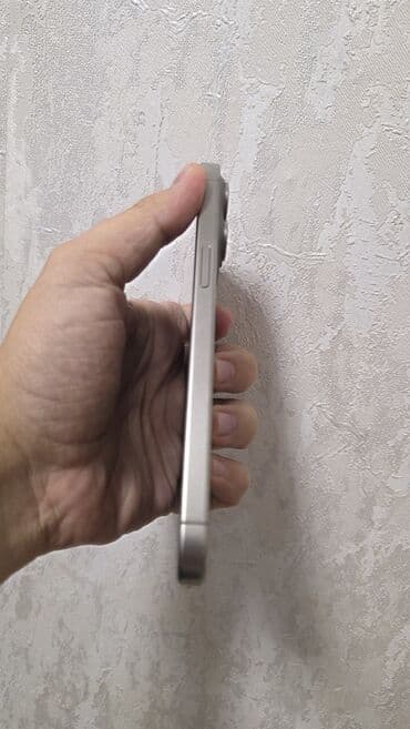 gizli nomre ile zeng etmek: IPhone 15 Pro Max, 256 GB, Gümüşü, Simsiz şarj — 2