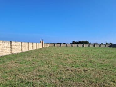 novxanıda həyət evləri: Kənd təsərrüfatı — 14