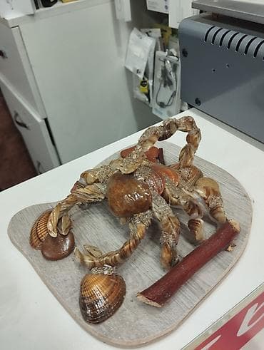 Fiqur, rəng - Qəhvəyi — 2