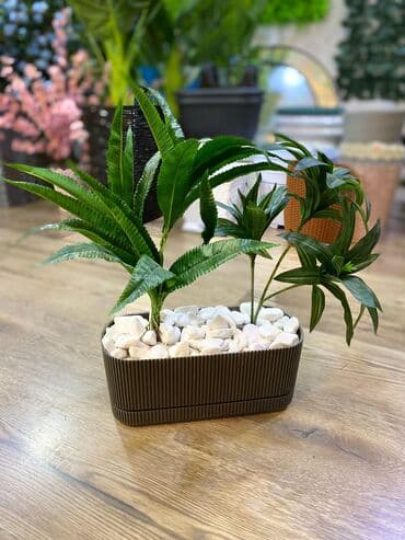 bitki toxumlari: Depodan bir basa satis 70azn baslayan dekarativ suni agaclar topdan — 17