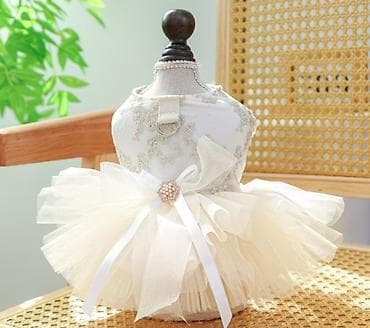 Sifarişle gelir. 2 olcu olur S ve M razmer. Zərif krem rəngli it