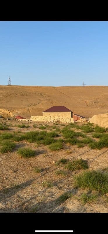 sumqayitda ucuz kiraye evler 2020: 800 sot, Tikinti, Mülkiyyətçi, Bələdiyyə, Müqavilə, Kupça (Çıxarış) — 8