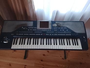 diz üstü komputer: Korg pa 800 satılır real alıcı narahat etsin — 1