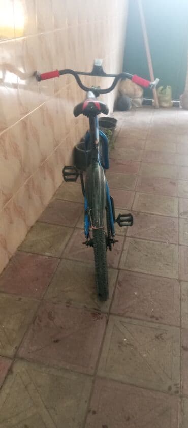 usaq ucun mikrafon: İki təkərli Uşaq velosipedi Stels, 20", sürətlərin sayı: 1 — 4