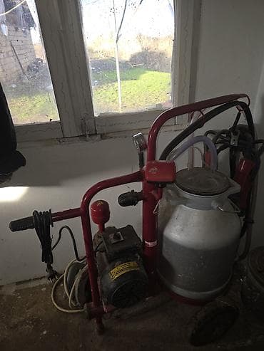 təkə: Tək bidon, Türkiyə, Zəmanətlə — 1