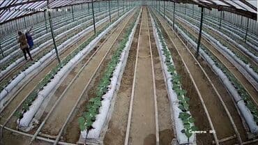 недвижимость в кусарах: Təcili ucuz qiymətə satılır. Salam aleykum, bildiyiniz kimi quru — 11