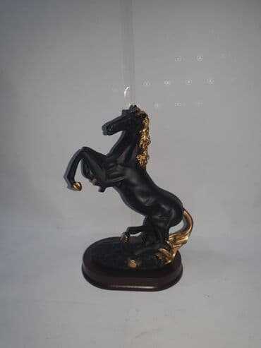 at sekilleri cekmek: Fiqur, Rezin — 21