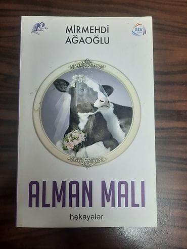 Normal Veziyyetde problemi yoxdu Ramana Daxili erazilere çatdırılma