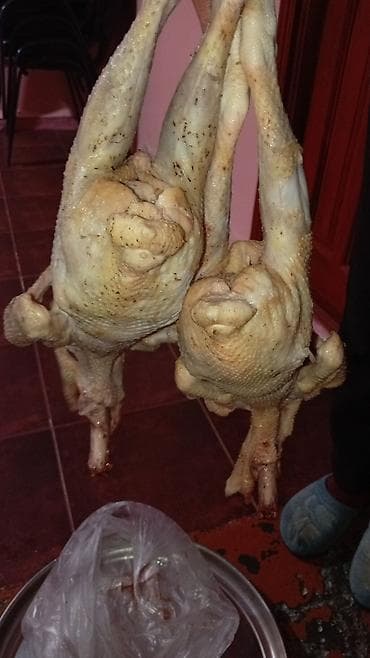 Деревенская курица Курица Тушка, В розницу, Самовывоз