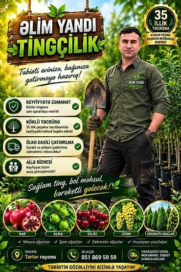 ƏLİM YANDI TİNGÇİLİK – peşəkar bağçılıq ənənəsi ilə 35 illik təcrübə