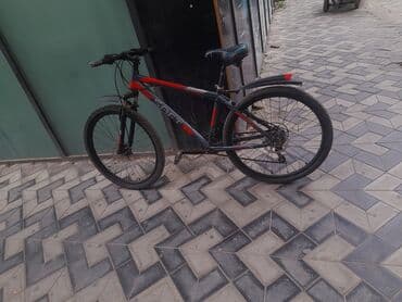 qalin tekerli velosiped: Dağ velosipedi Saft, 26" — 2