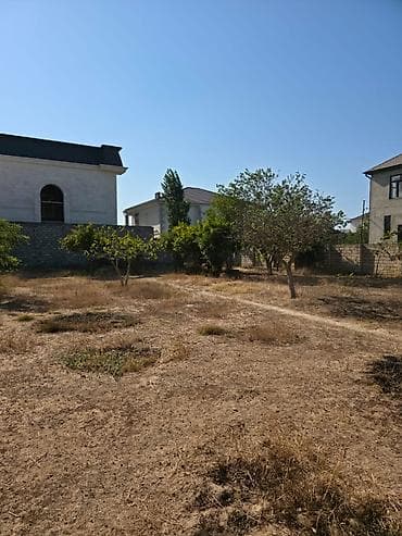 8 sot, Mülkiyyətçi, Kupça (Çıxarış) — 4