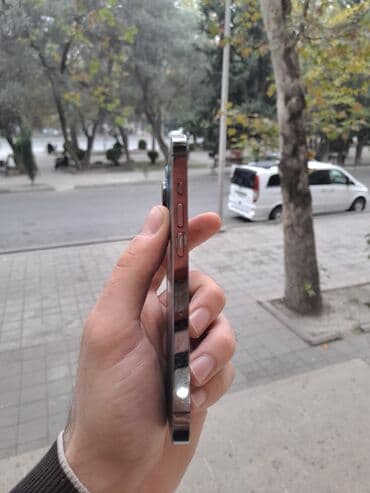 ayfon 13 pro max qiyməti: IPhone 13 Pro, 256 GB, Matte Silver, Face ID — 4