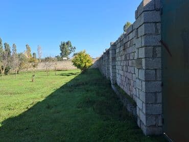 novxanıda həyət evləri: Kənd təsərrüfatı — 17