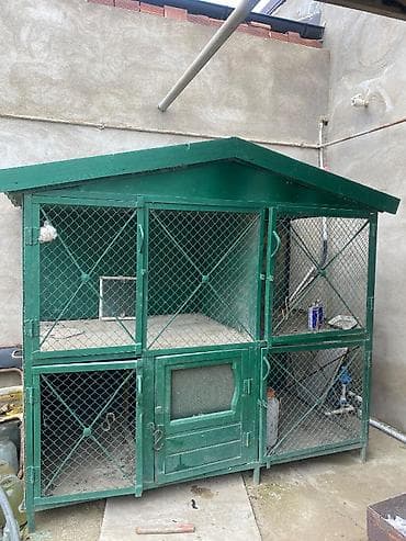 Yuvalar: İt,pişik,toyuq,cücə,dovşan üçün 6 otaqlı yuva.Hər otağın arakəsməsi — 1