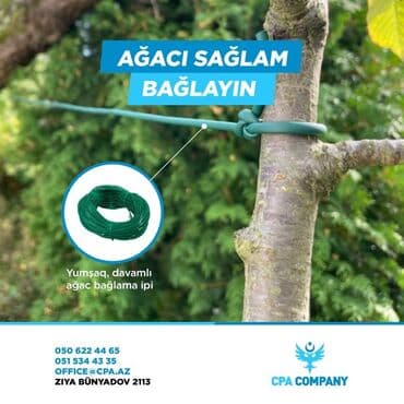 tikinti material: Yaşıllıqda olan bu ağac bağlama ipi, bitkilərinizin və ağaclarınızın — 1