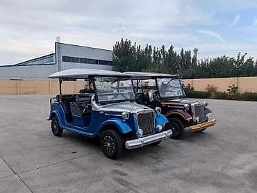 ucuz ventilyator: Retro dizaynlı elektrikli turist karı (golf karı tipli) - Gövdə — 2