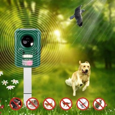 siçan zeheri: Rayonlara çatdırılma, Pulsuz çatdırılma — 2